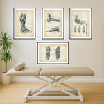 Fuß Anatomie Sammlung