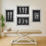 Knie Anatomie Sammlung - Chalkboard