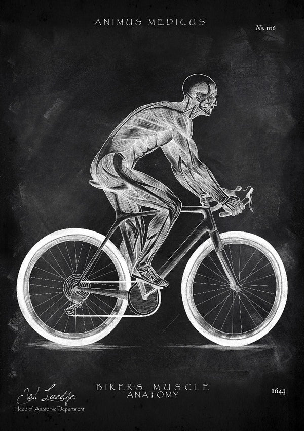 Rennrad Fahrer Anatomie - Chalkboard
