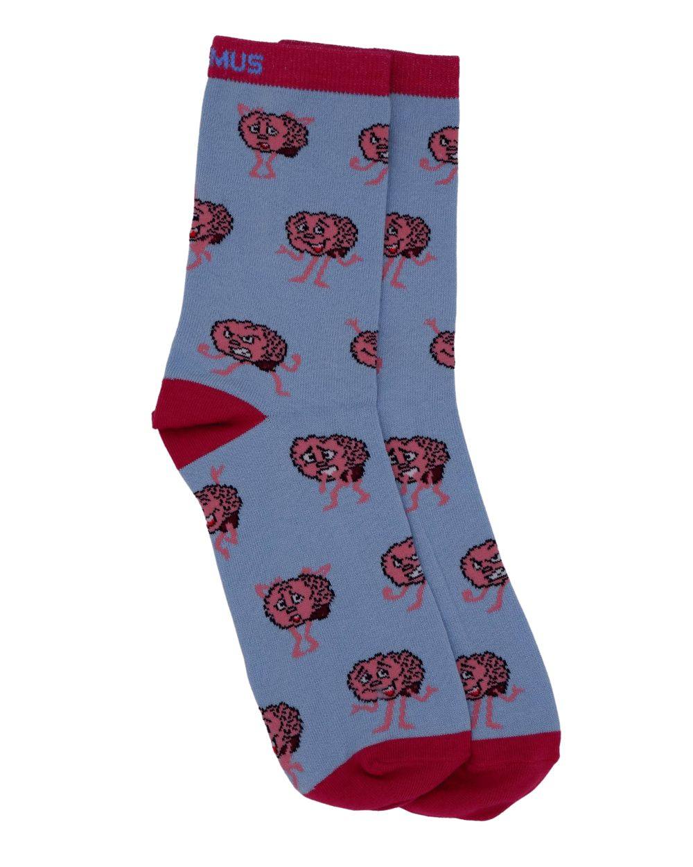 Anatomie Socken Set aus Bio-Baumwolle - Animus Medicus GmbH