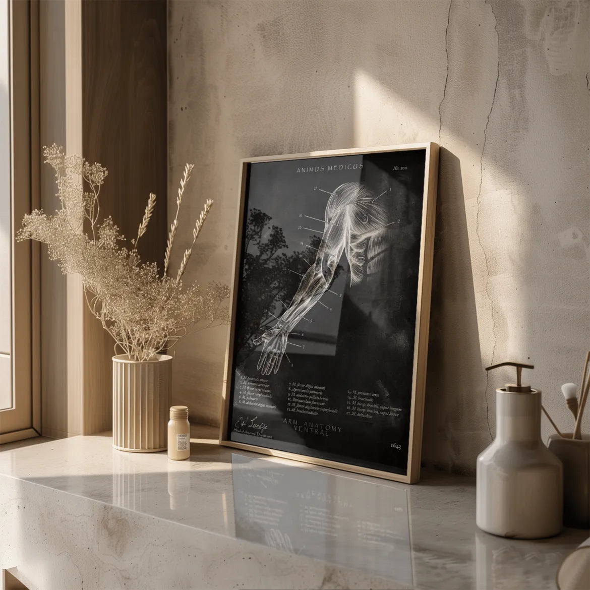 Arm Anatomie ventral - Chalkboard - Animus Medicus GmbH