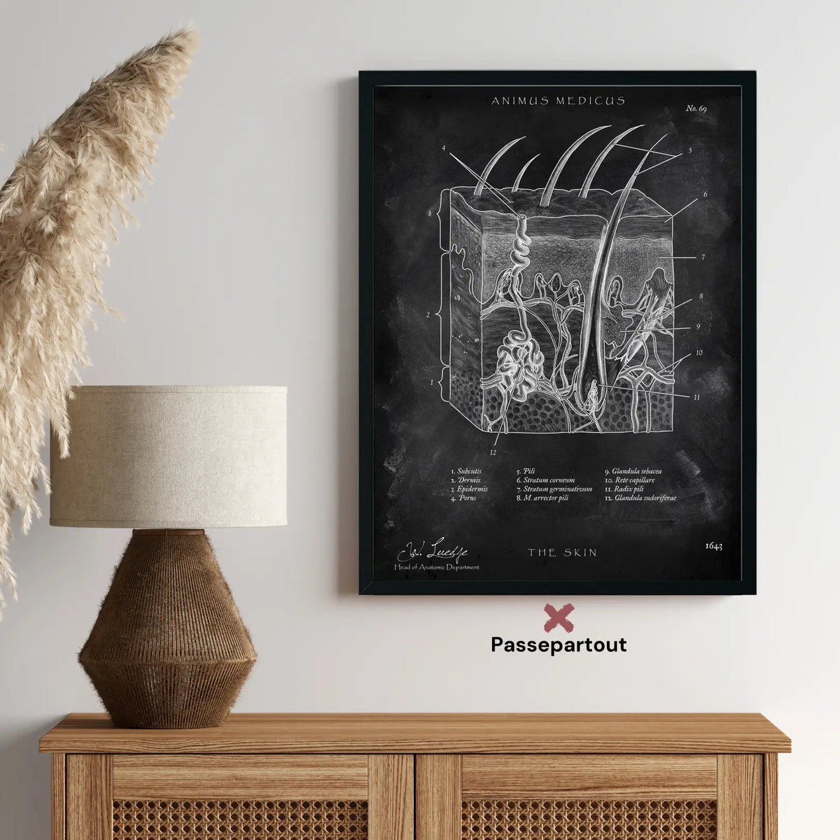 Aufbau der Haut - Chalkboard - Animus Medicus GmbH