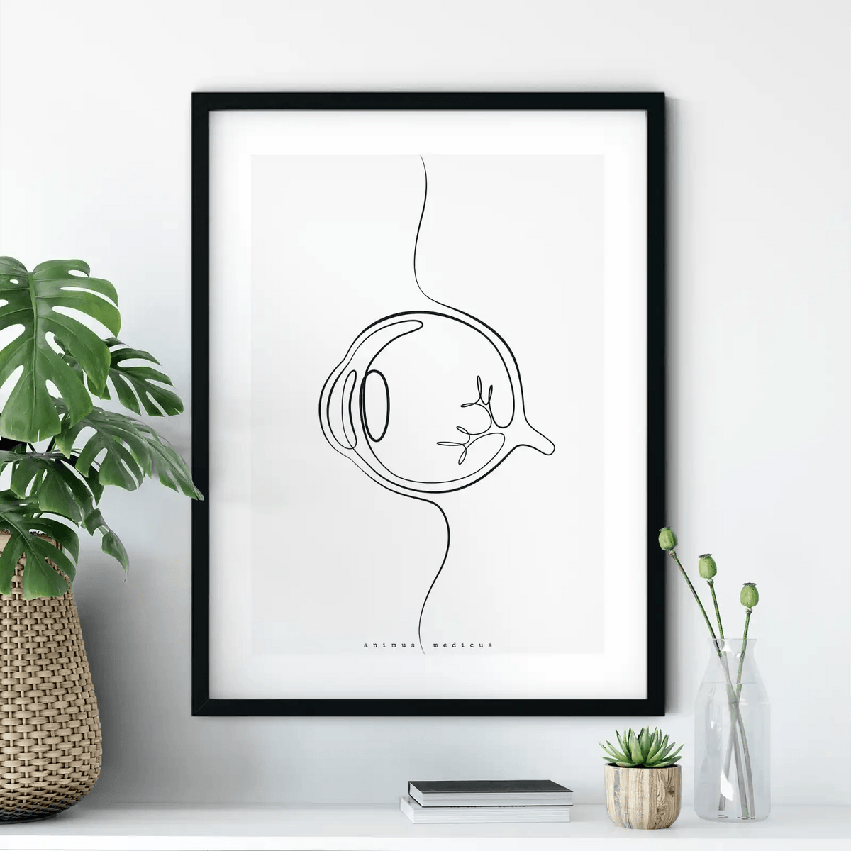 Augen Anatomie Minimalist - Animus Medicus GmbH