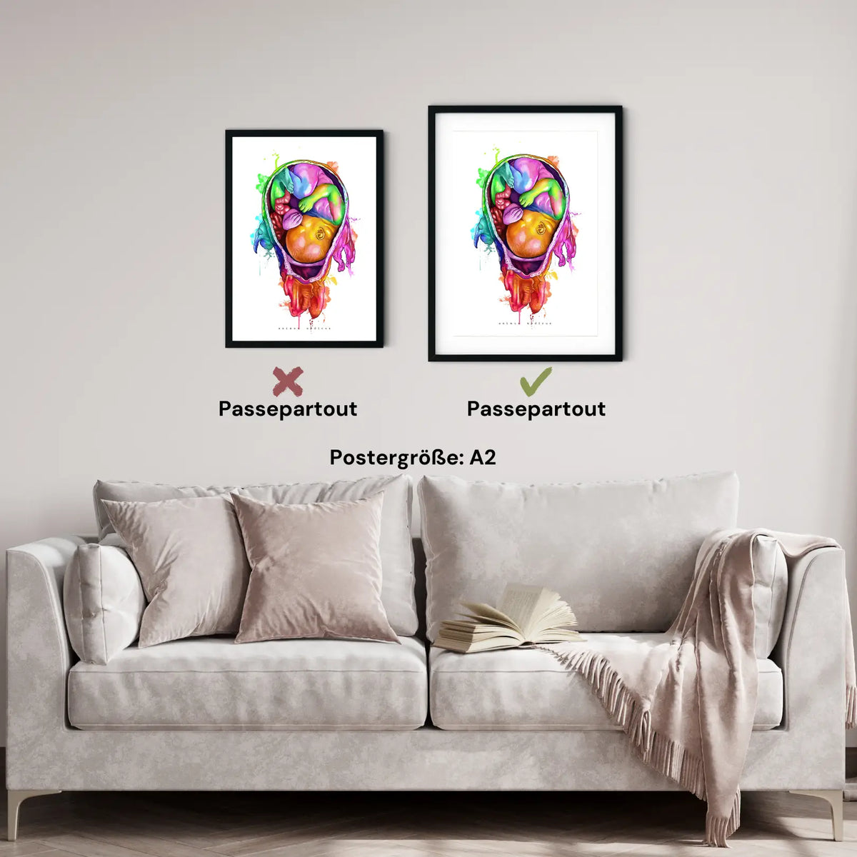 Baby Anatomie - Rainbow - Animus Medicus GmbH