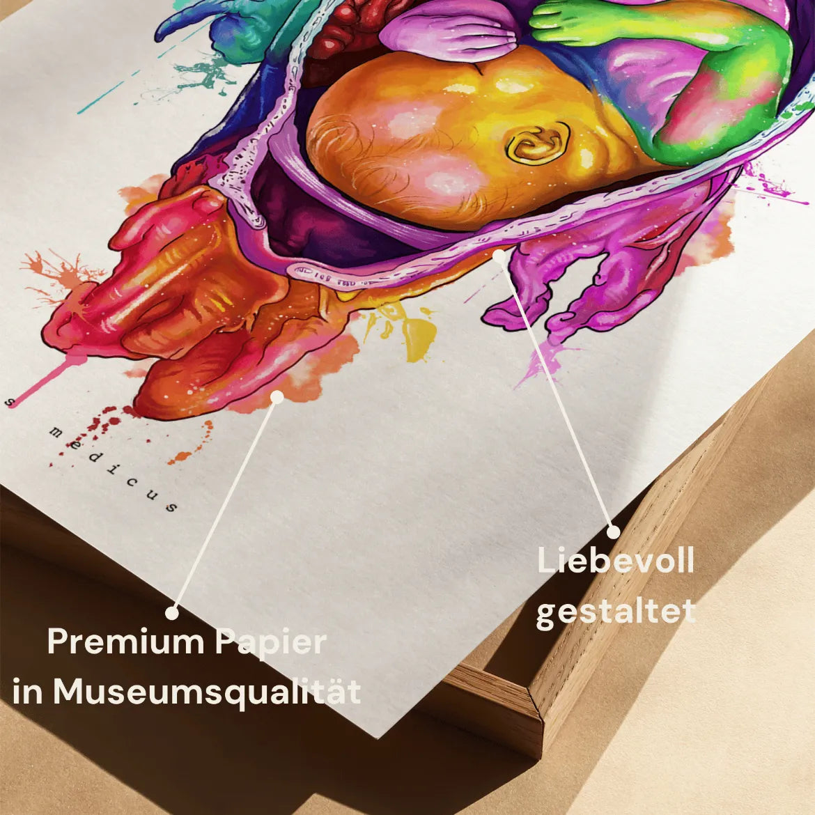 Baby Anatomie - Rainbow - Animus Medicus GmbH