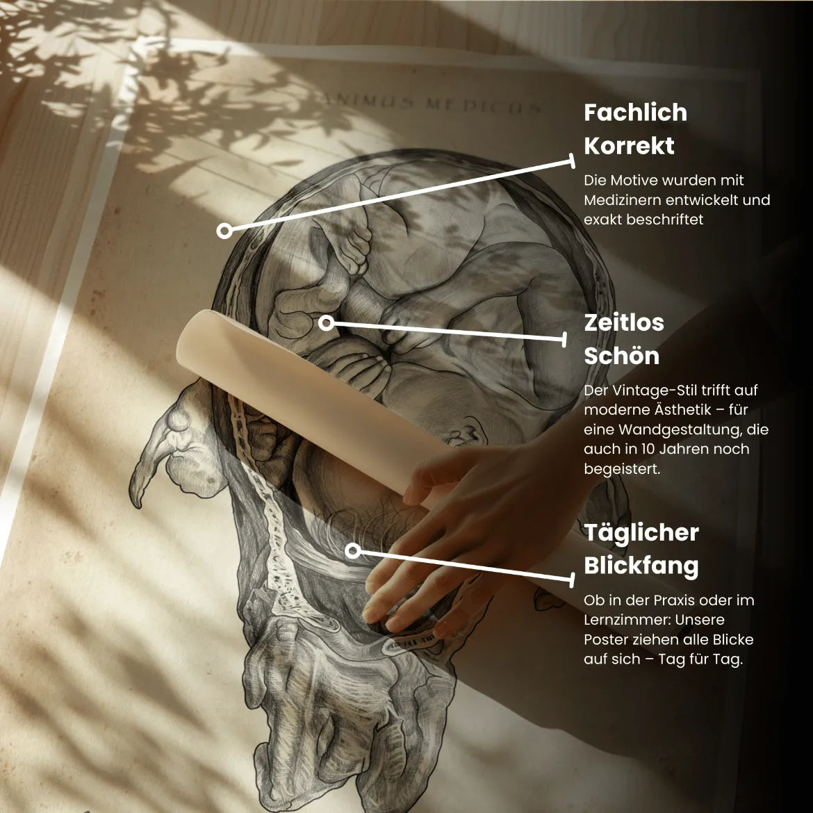 Baby in Gebärmutter - Animus Medicus GmbH