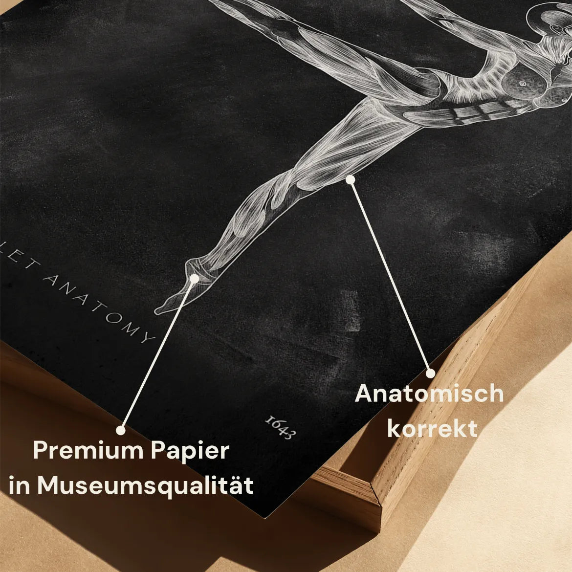Ballett Anatomie Poster - Chalkboard - Animus Medicus GmbH