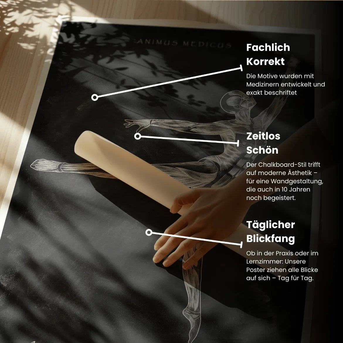 Ballett Anatomie Poster - Chalkboard - Animus Medicus GmbH