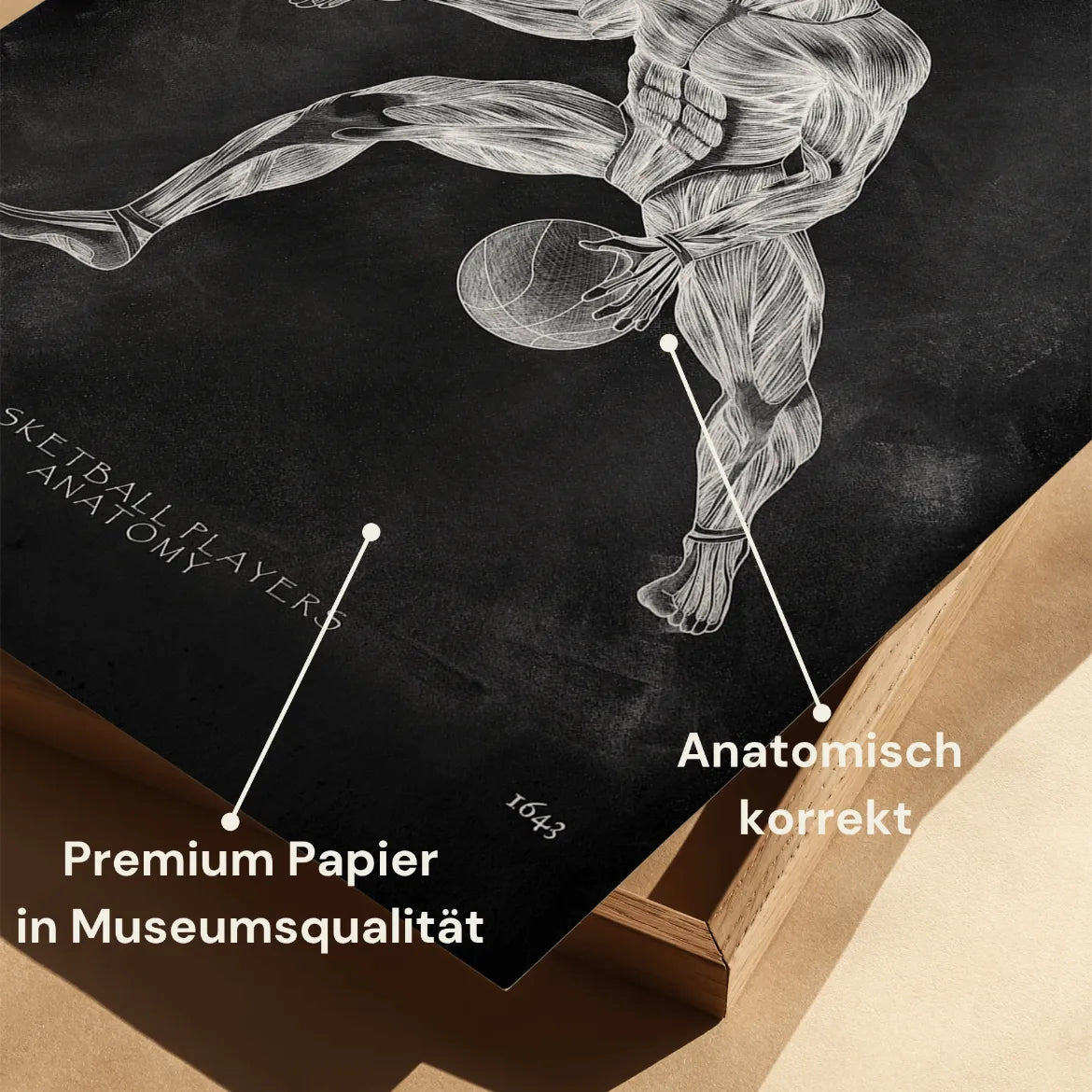 Basketball Anatomie Poster - Chalkboard - Animus Medicus GmbH