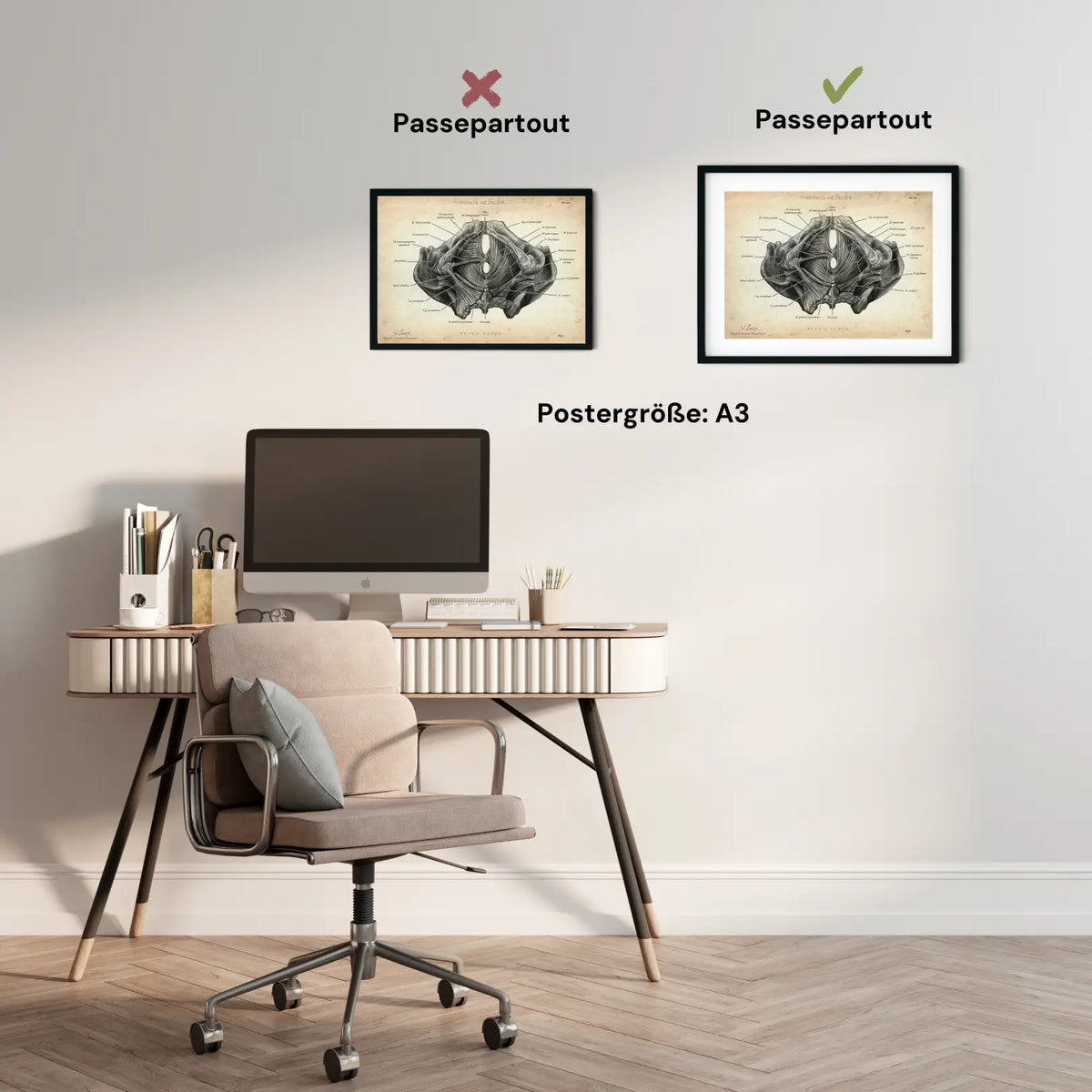 Beckenboden Muskulatur - Animus Medicus GmbH