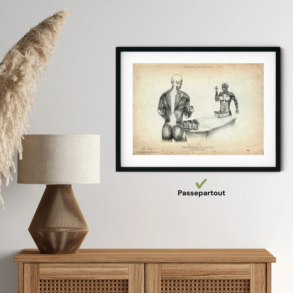 Beerpong Anatomie - Animus Medicus GmbH