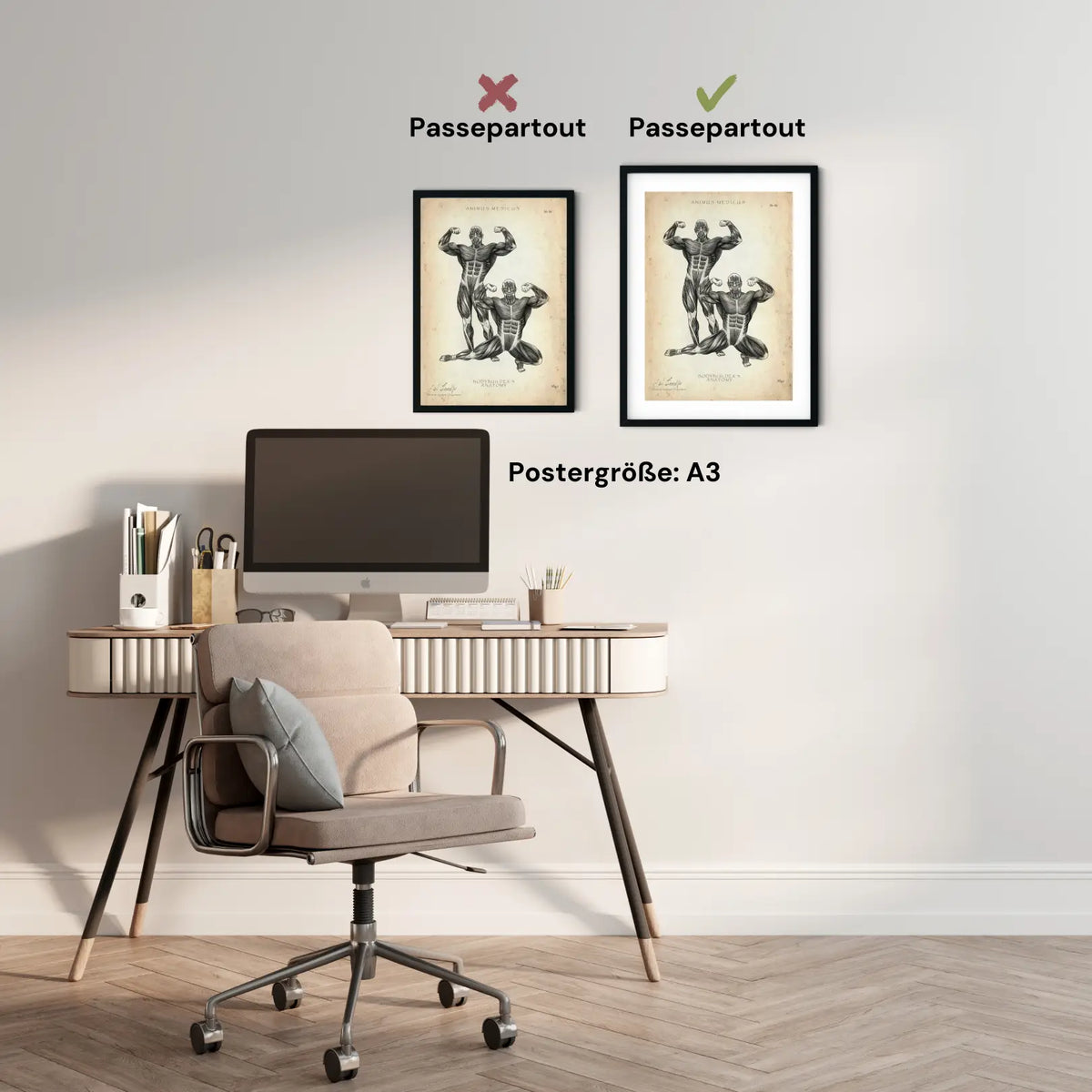 Bodybuilder Anatomie Poster - Animus Medicus GmbH