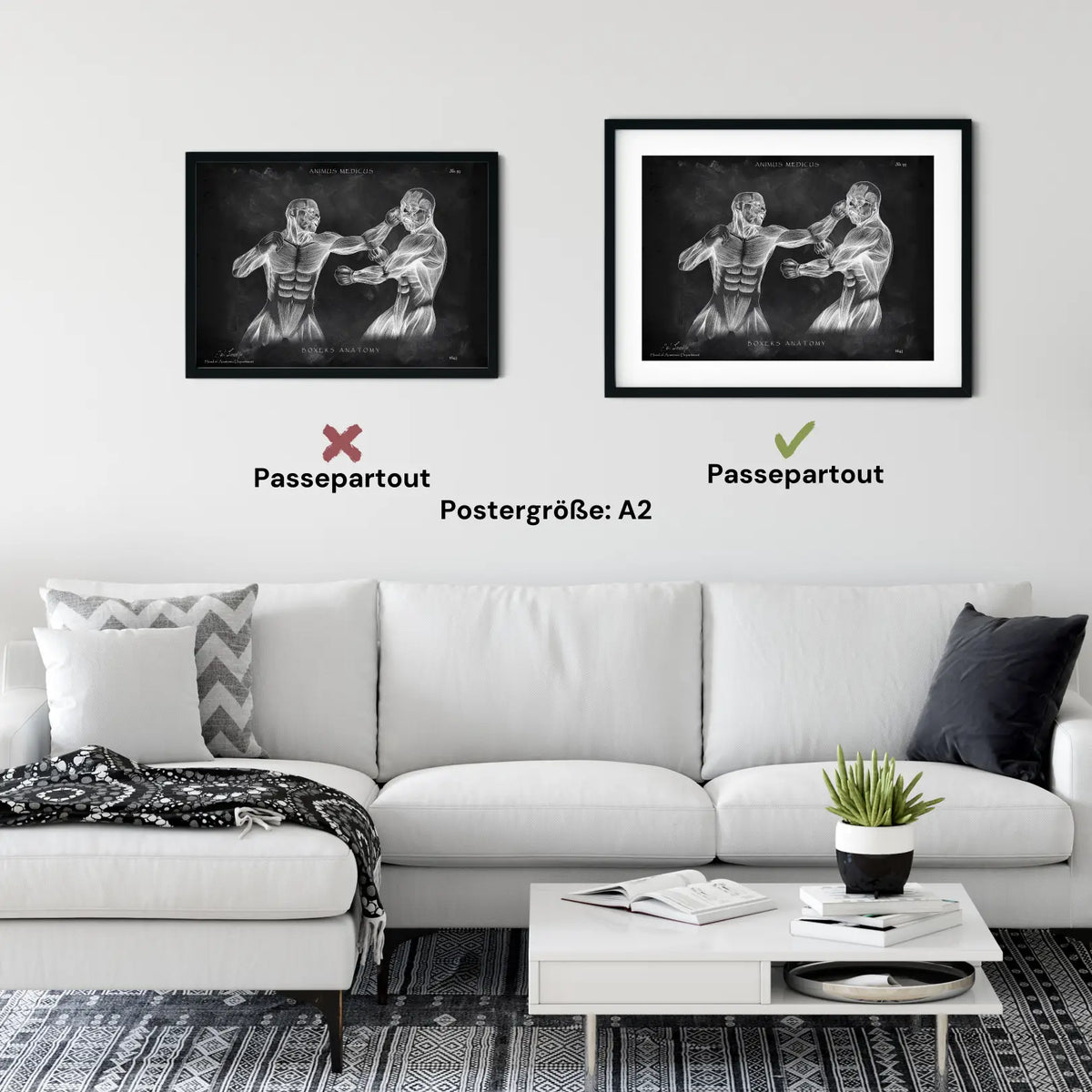 Boxer Anatomie Poster - Chalkboard - Animus Medicus GmbH