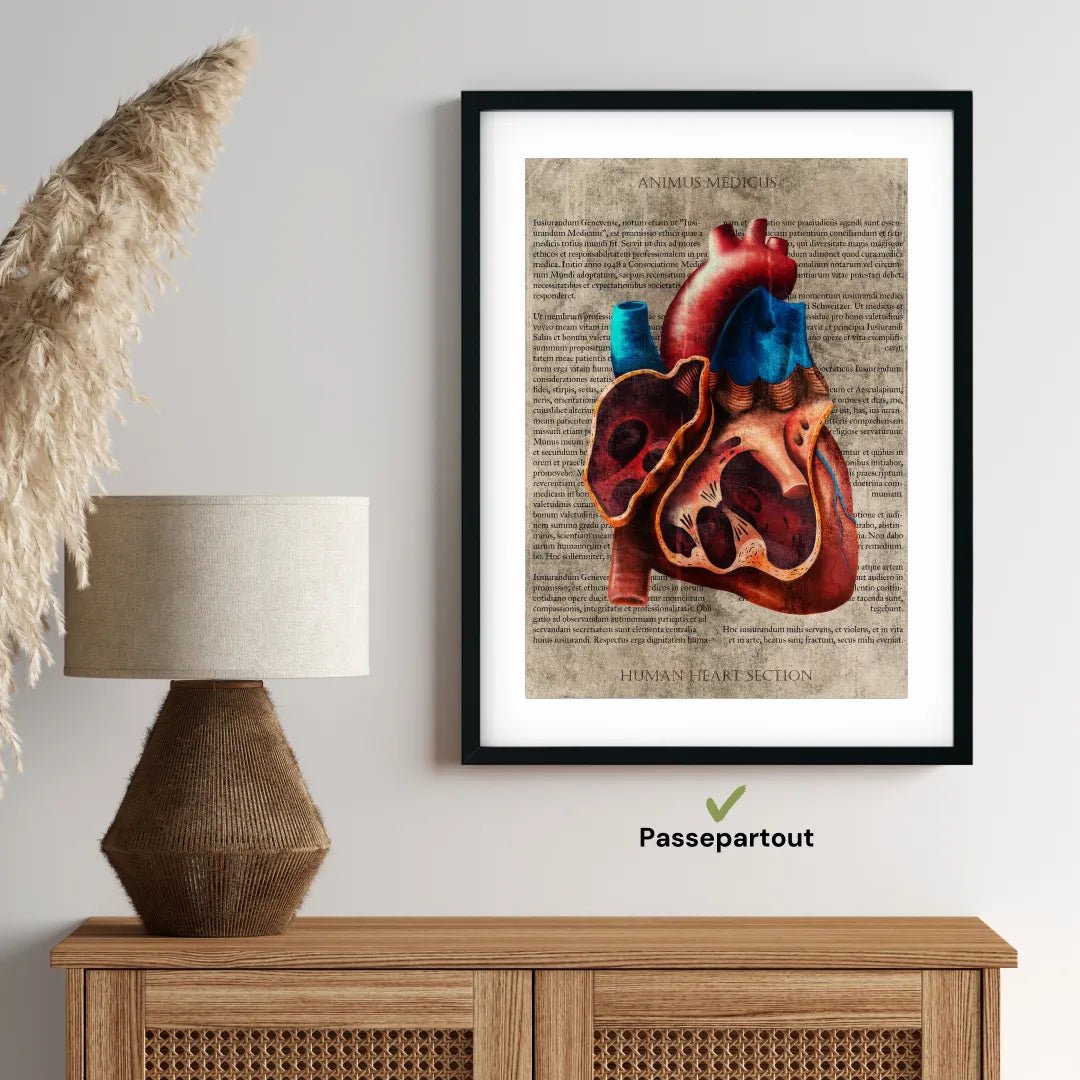 Das Herz - Buchseite - Animus Medicus GmbH