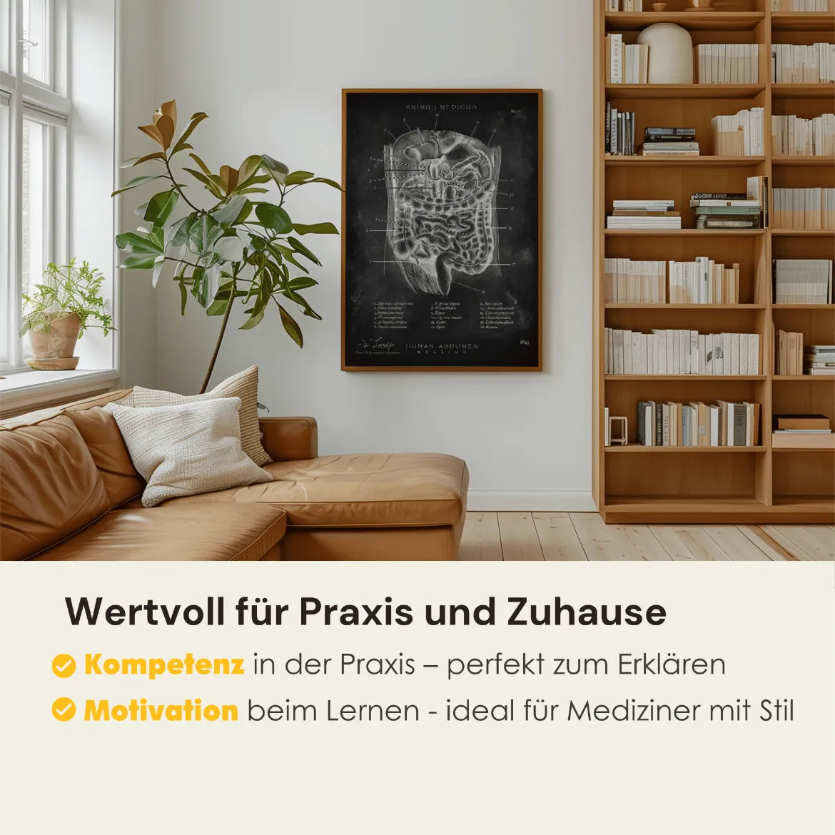 Der Bauch im Schnitt - Chalkboard - Animus Medicus GmbH