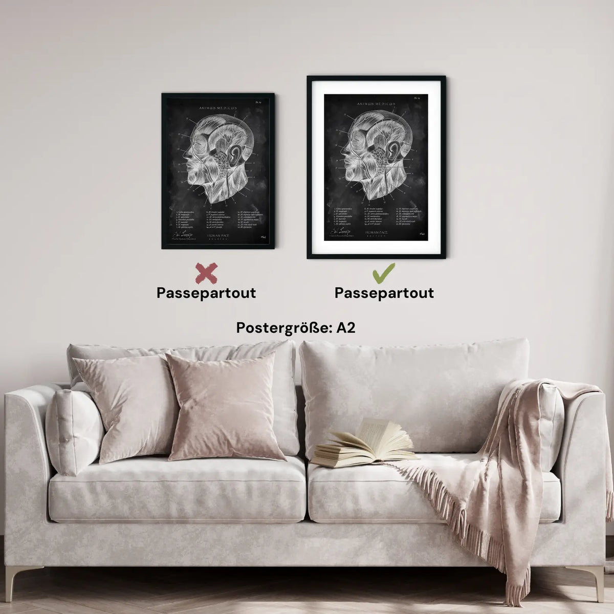 Die Gesicht Anatomie - Chalkboard - Animus Medicus GmbH