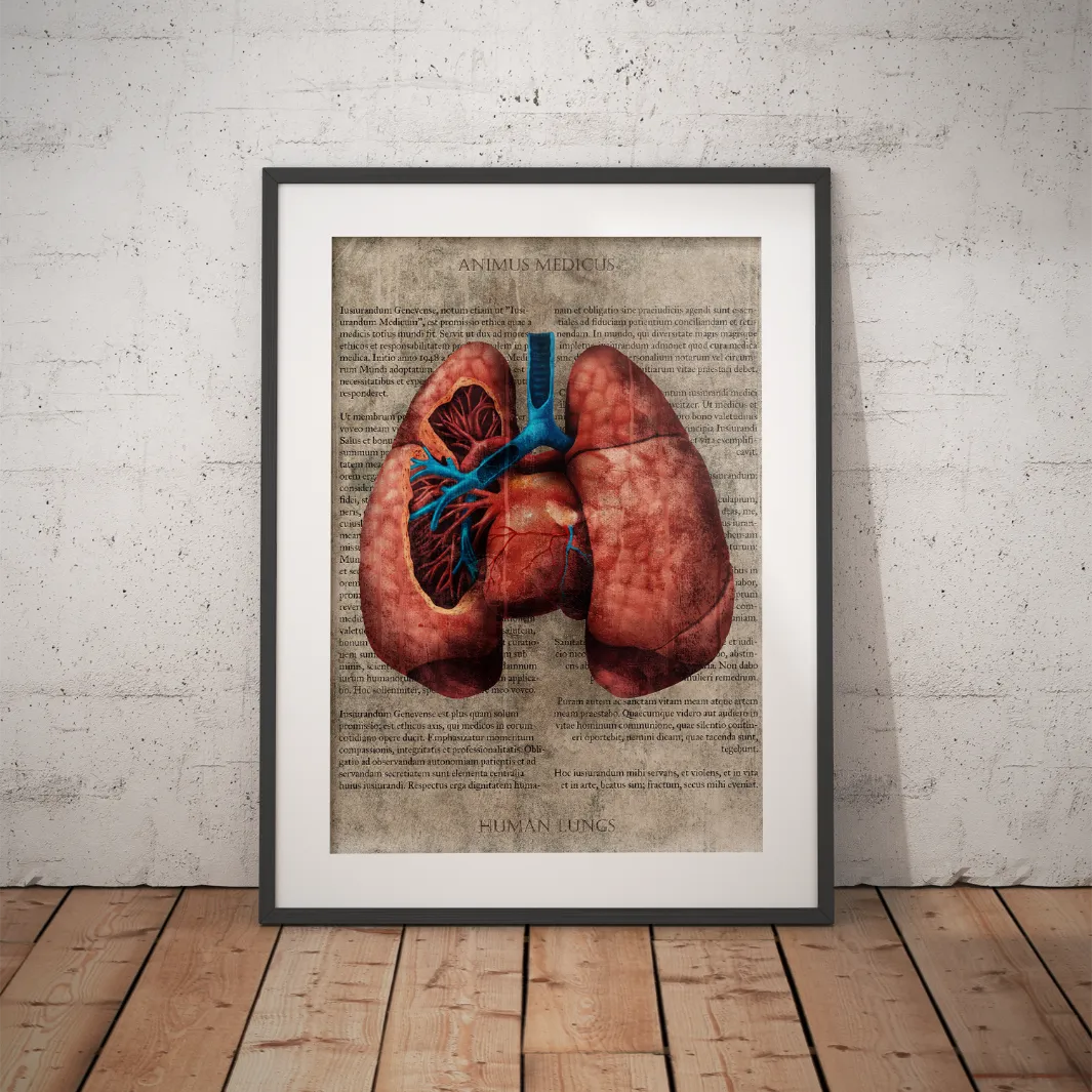 Die Lunge - Buchseite - Animus Medicus GmbH
