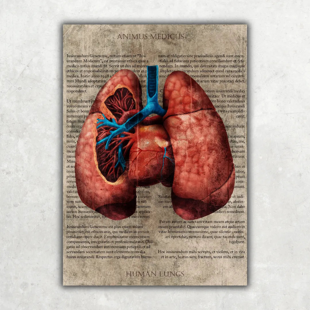 Die Lunge - Buchseite - Animus Medicus GmbH