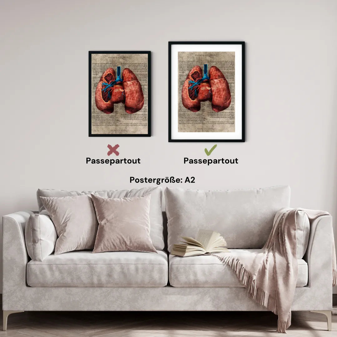 Die Lunge - Buchseite - Animus Medicus GmbH