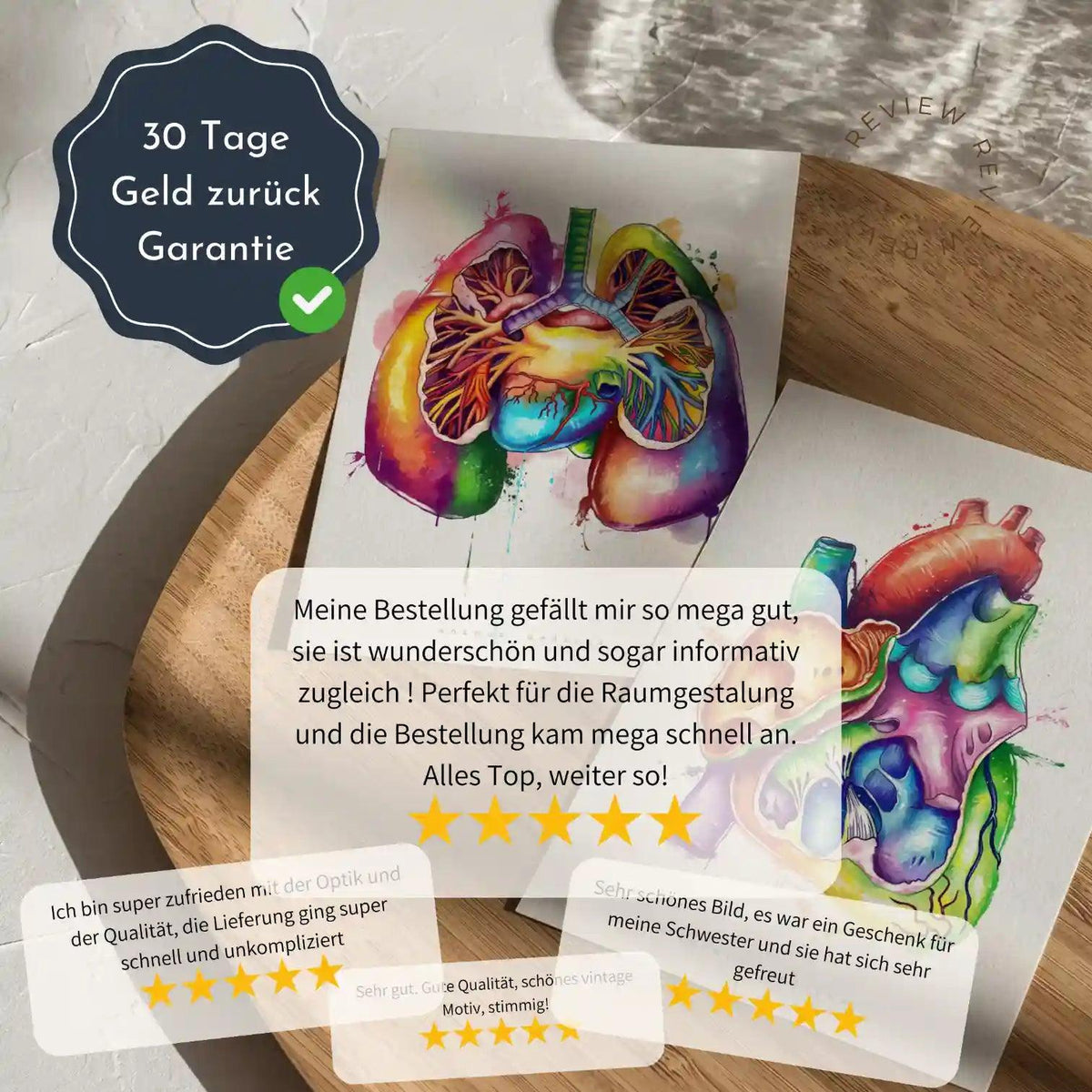 Gebiss der Säugetiere - Animus Medicus GmbH