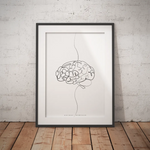 Gehirn Anatomie Minimalist - Animus Medicus GmbH