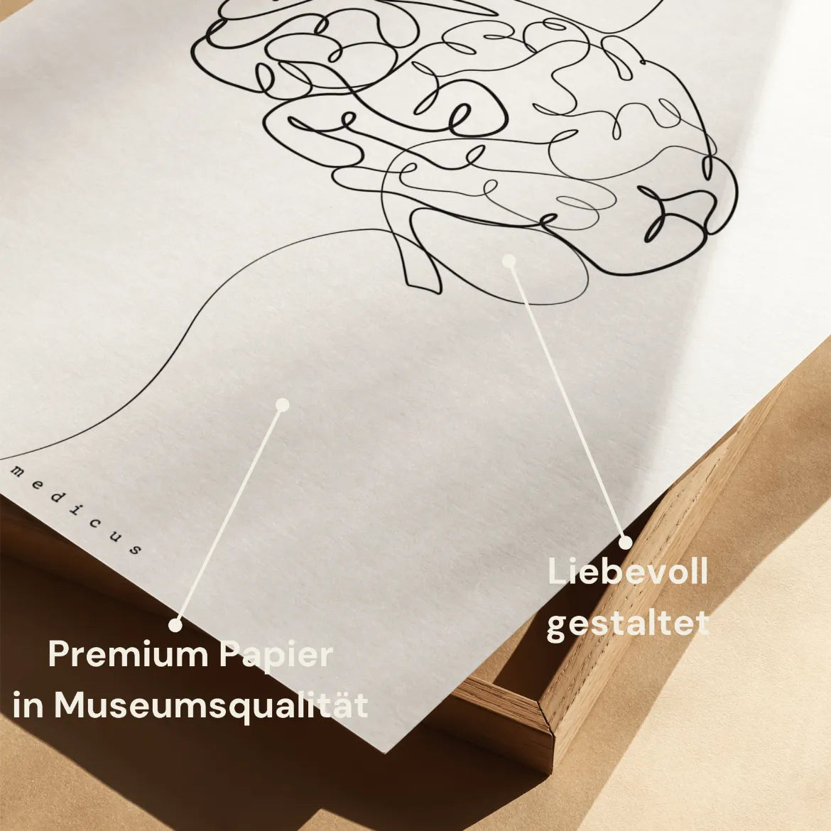 Gehirn Anatomie Minimalist - Animus Medicus GmbH