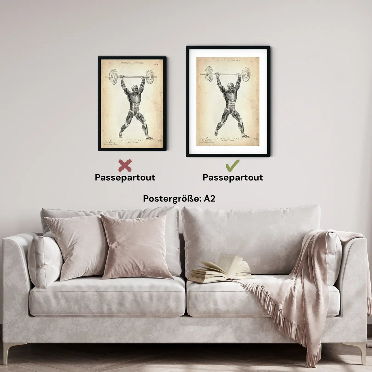 Gewichtheben Anatomie Poster - Animus Medicus GmbH