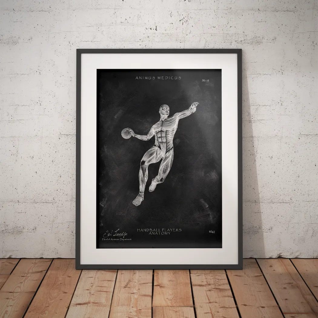 Handball Anatomie Poster - Chalkboard - Animus Medicus GmbH