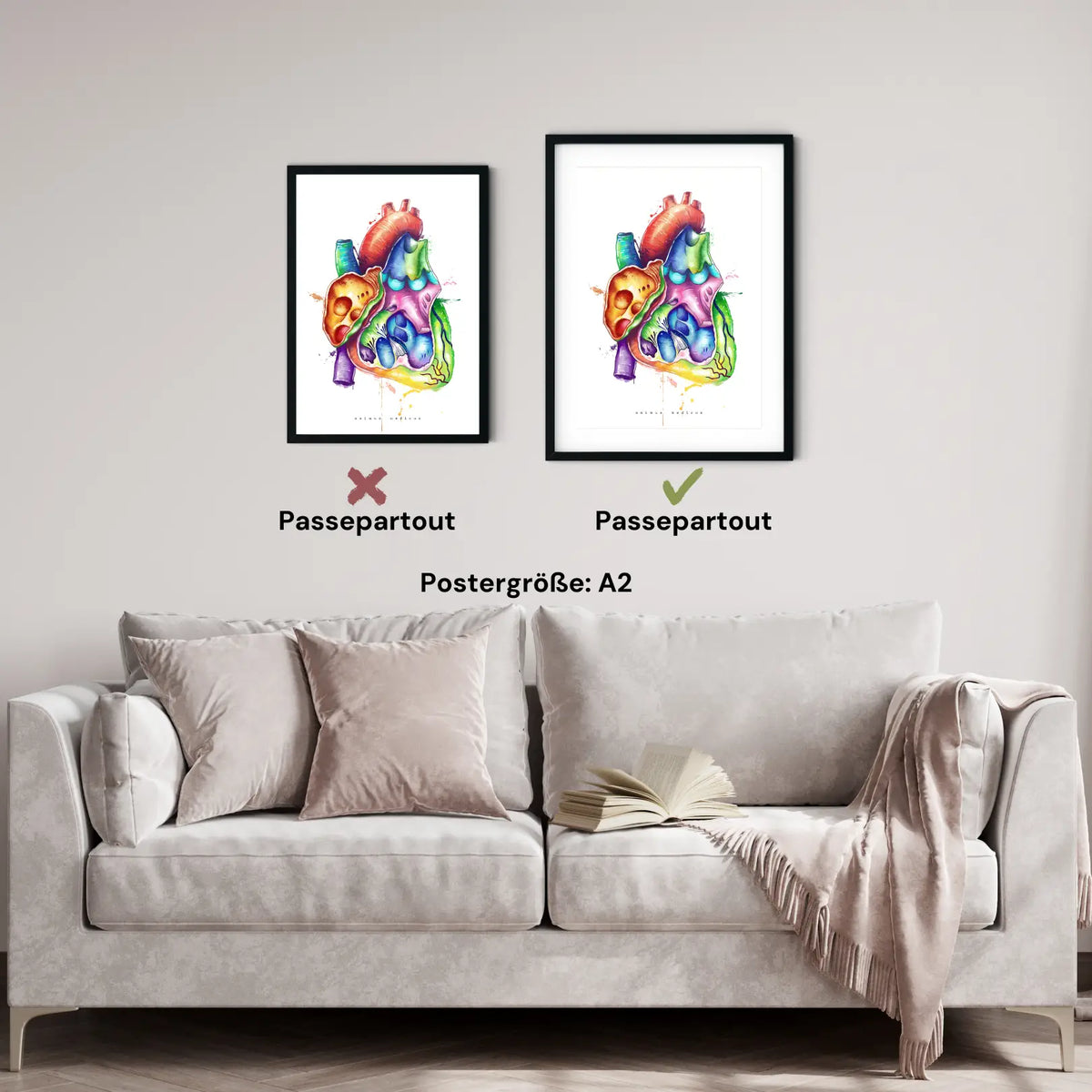 Herz im Schnitt Anatomie - Rainbow - Animus Medicus GmbH