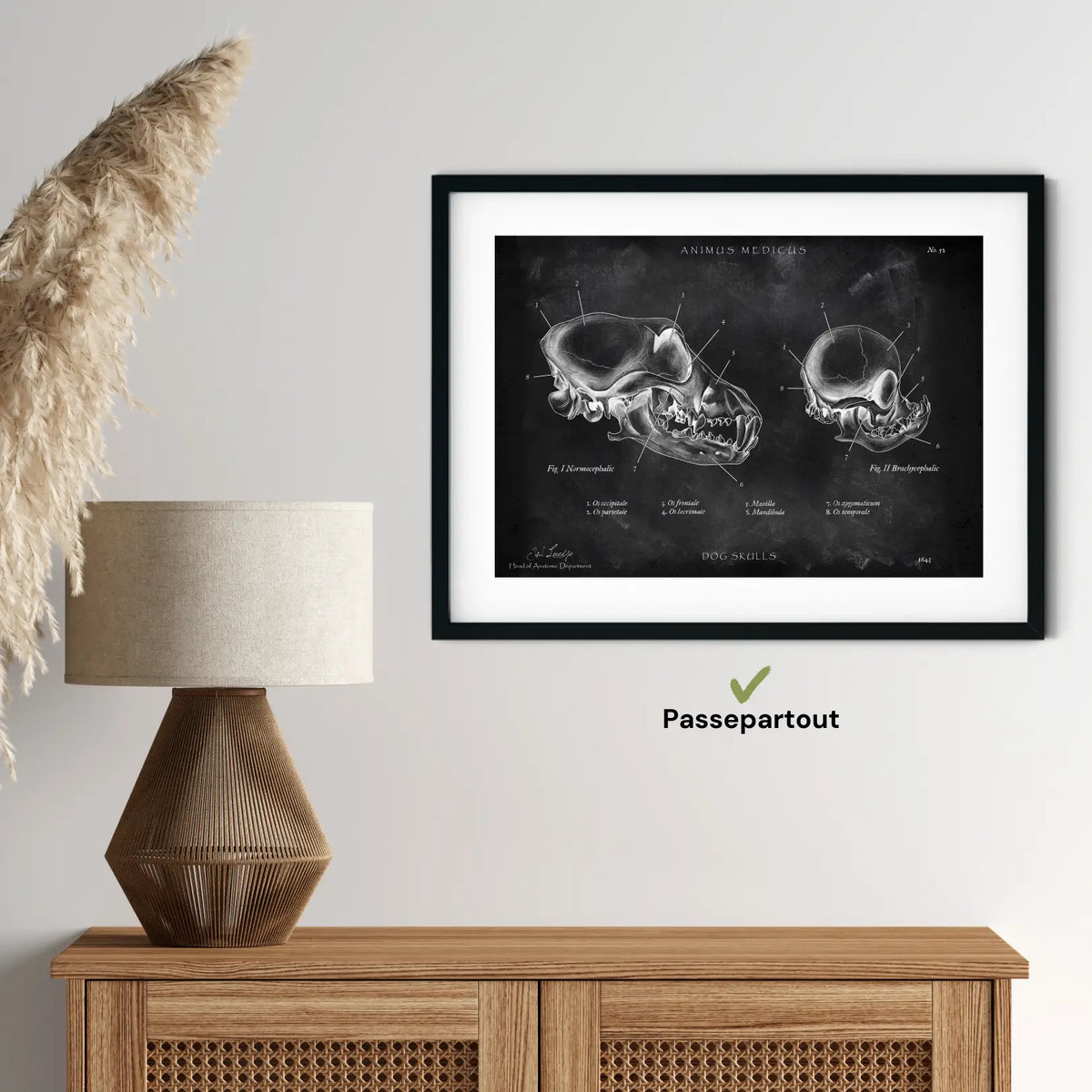 Hunde Schädel - Chalkboard - Animus Medicus GmbH