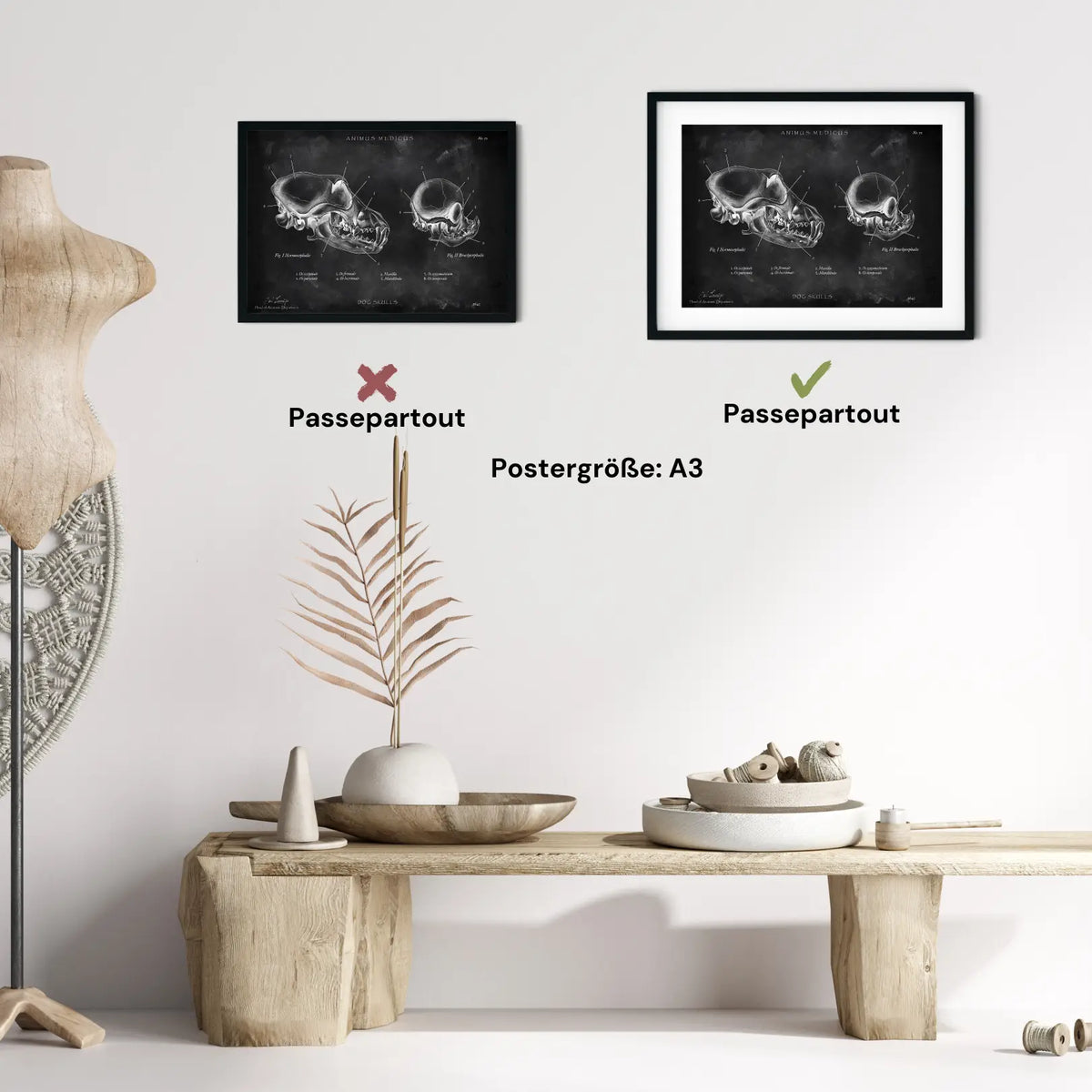 Hunde Schädel - Chalkboard - Animus Medicus GmbH