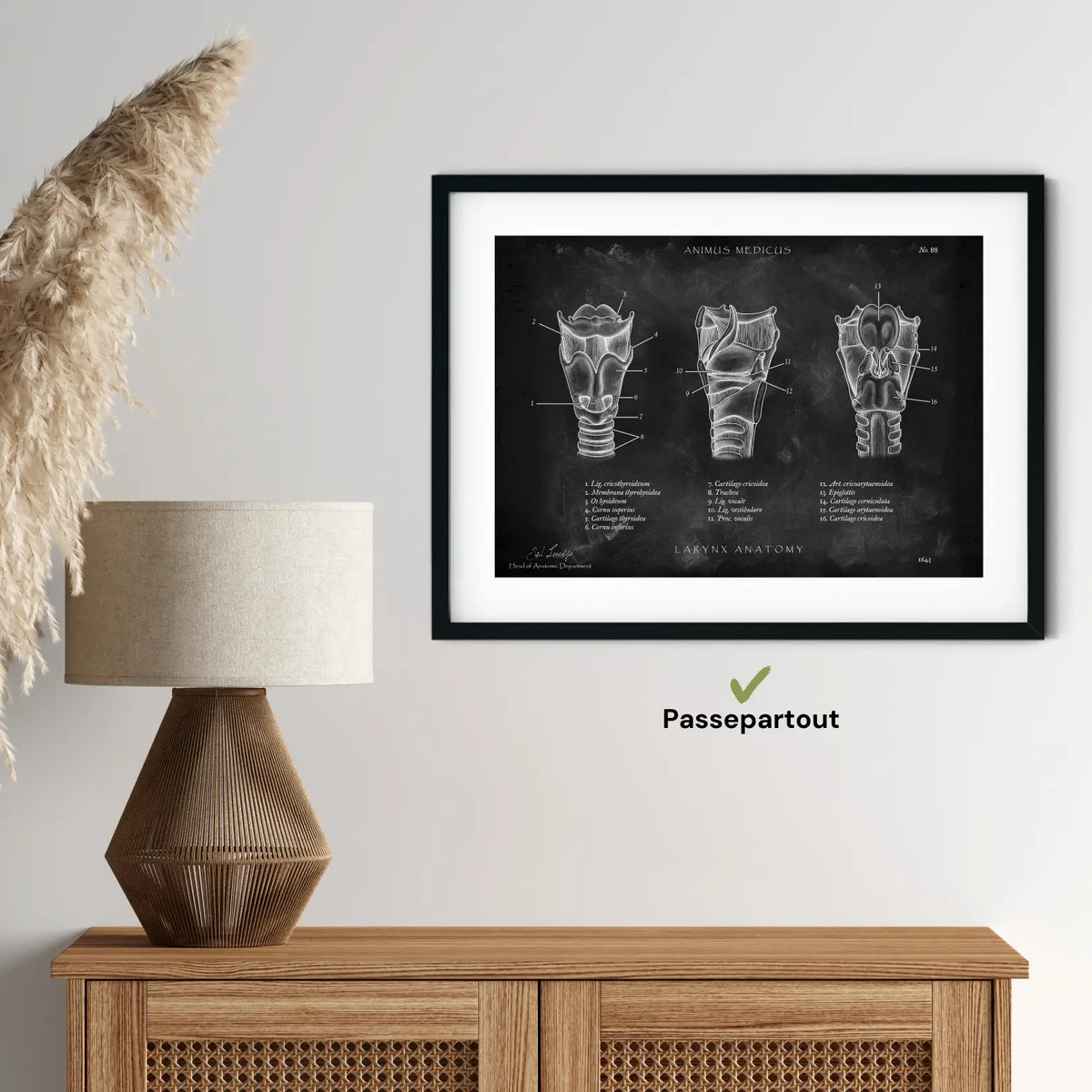 Kehlkopf Anatomie - Chalkboard - Animus Medicus GmbH