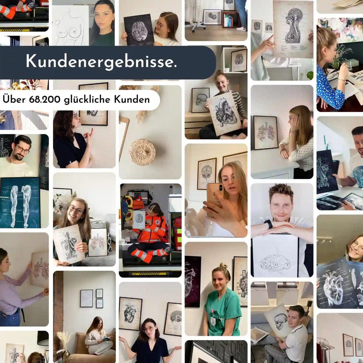 Knie Anatomie Sammlung - Chalkboard - Animus Medicus GmbH