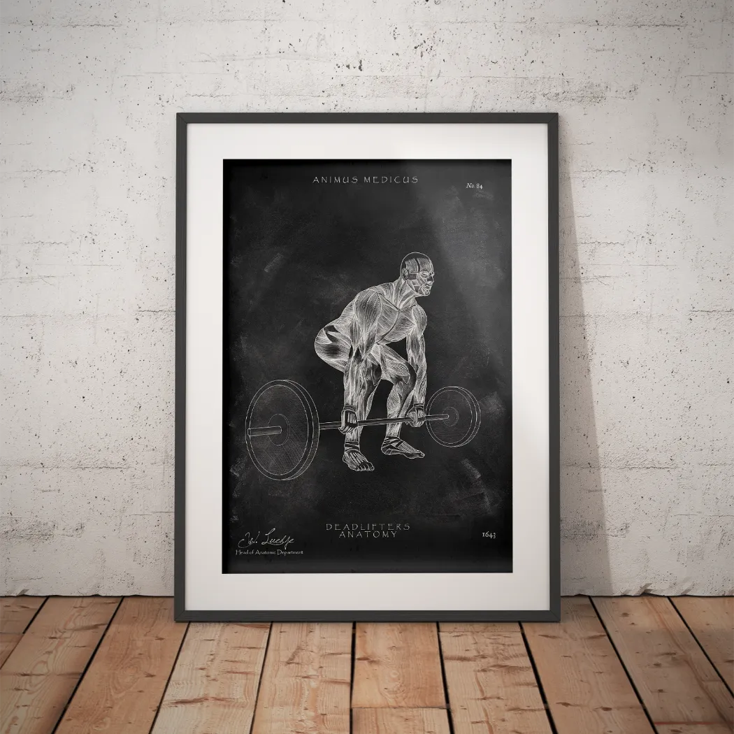 Kreuzheben Anatomie Poster - Chalkboard - Animus Medicus GmbH