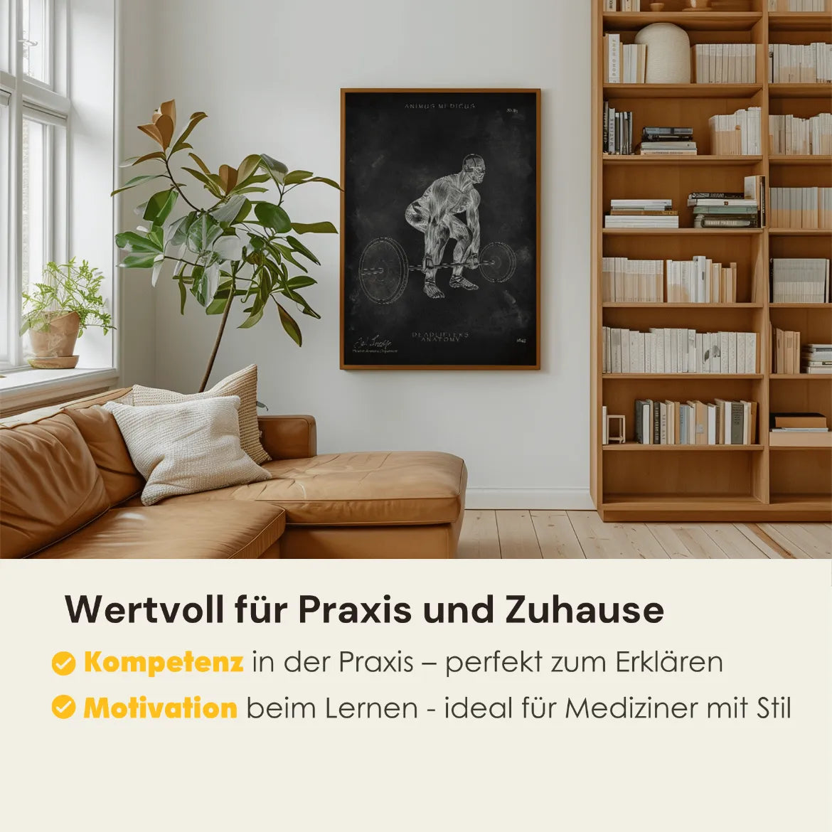 Kreuzheben Anatomie Poster - Chalkboard - Animus Medicus GmbH