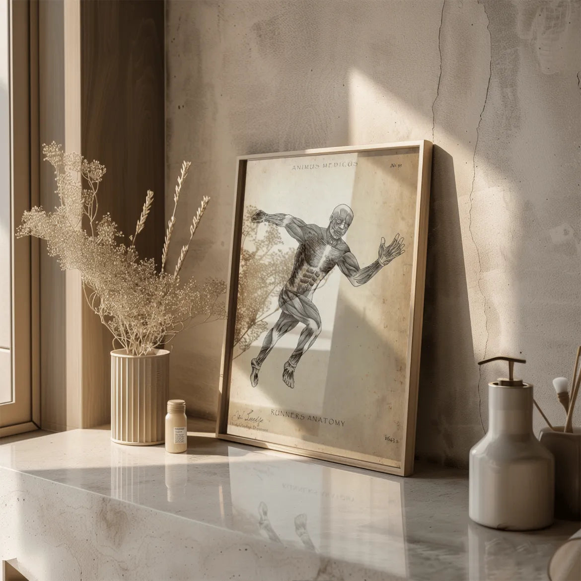 Läufer Anatomie Poster - Animus Medicus GmbH