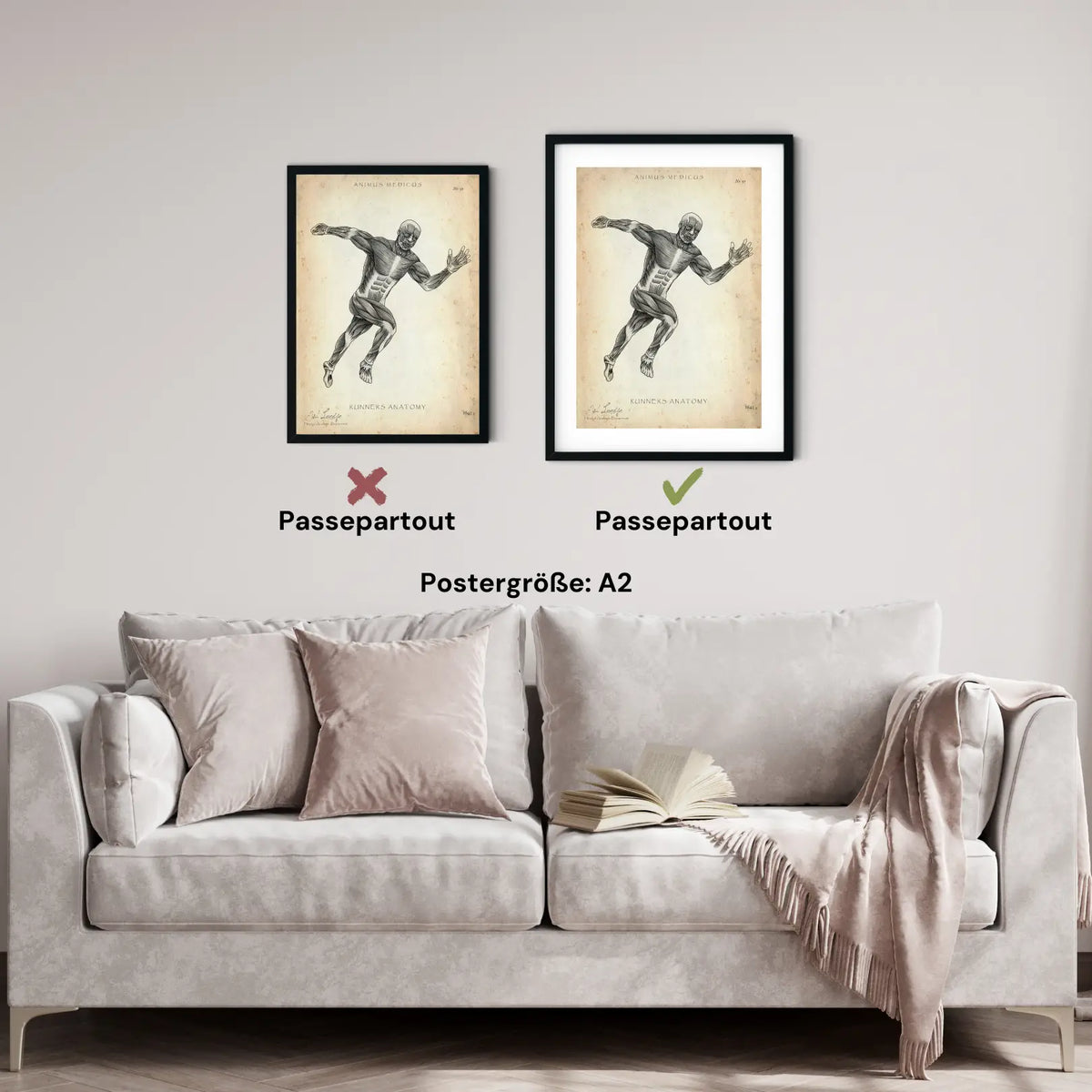 Läufer Anatomie Poster - Animus Medicus GmbH