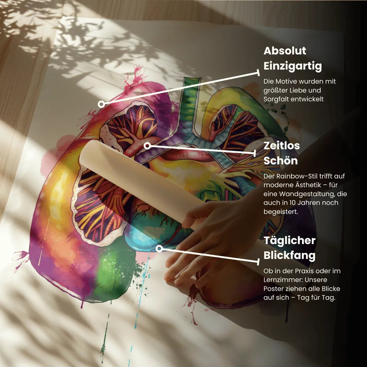 Lungen Anatomie - Rainbow - Animus Medicus GmbH