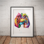 Lungen Anatomie - Rainbow - Animus Medicus GmbH