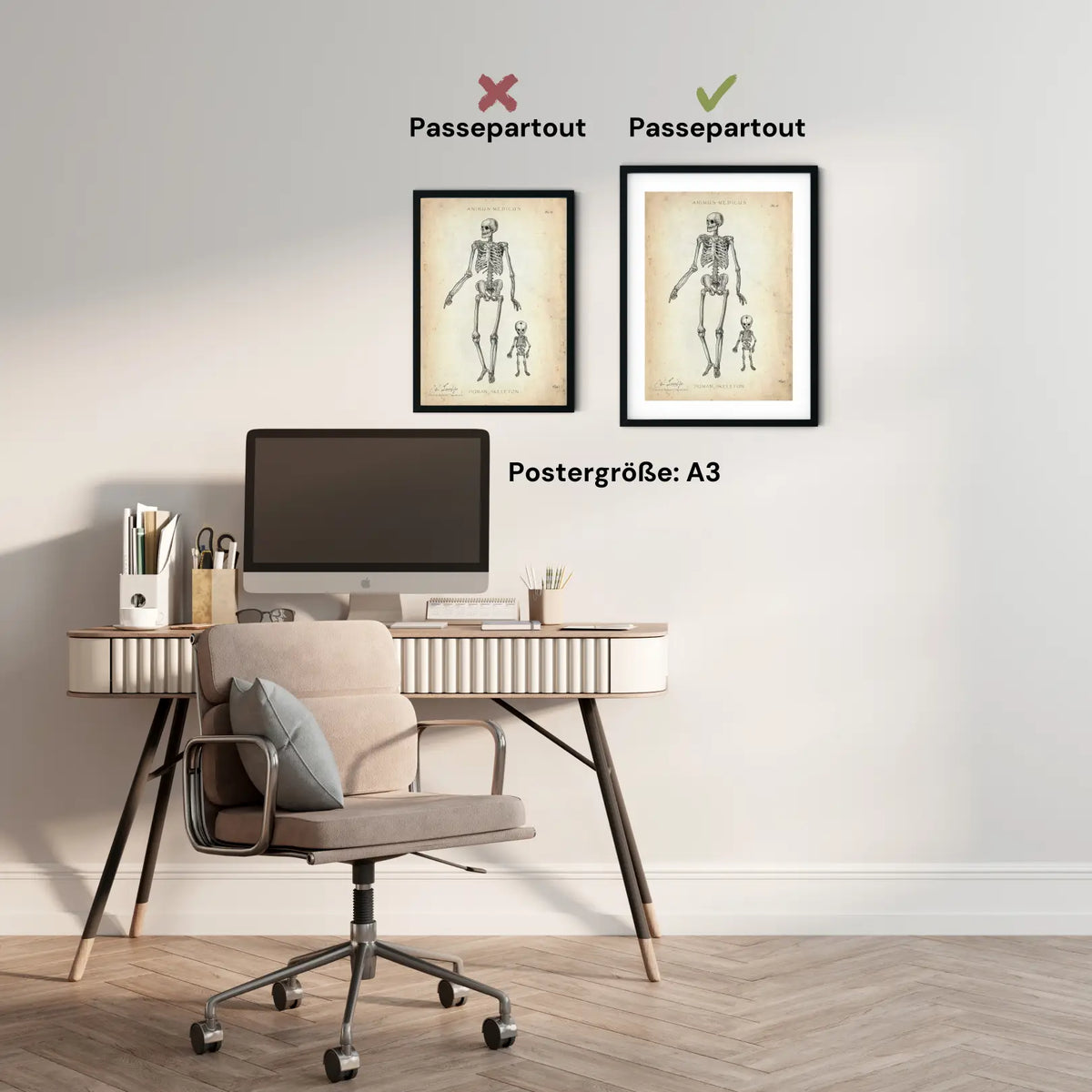 Menschliche Skelett - Animus Medicus GmbH