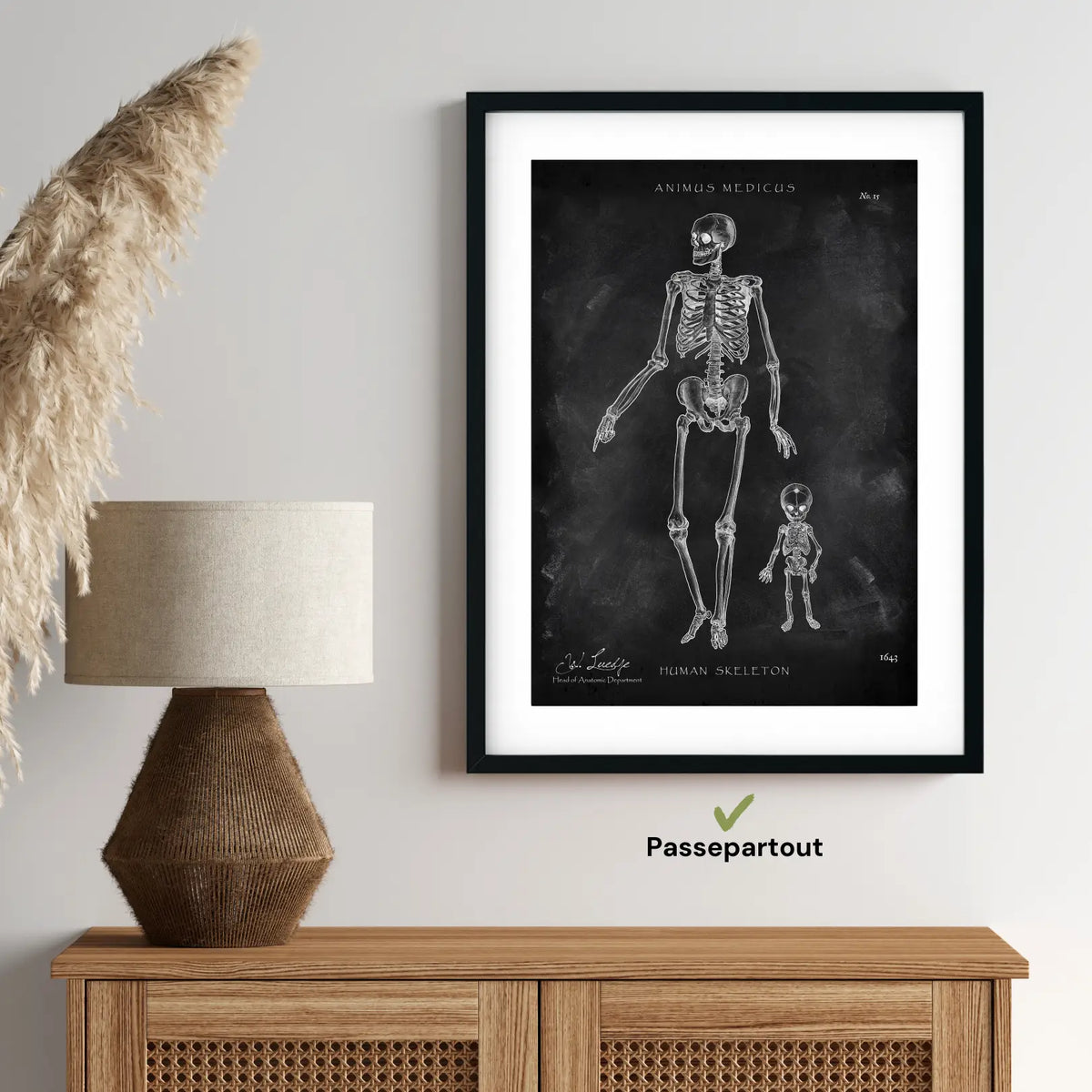 Menschliche Skelett - Chalkboard - Animus Medicus GmbH