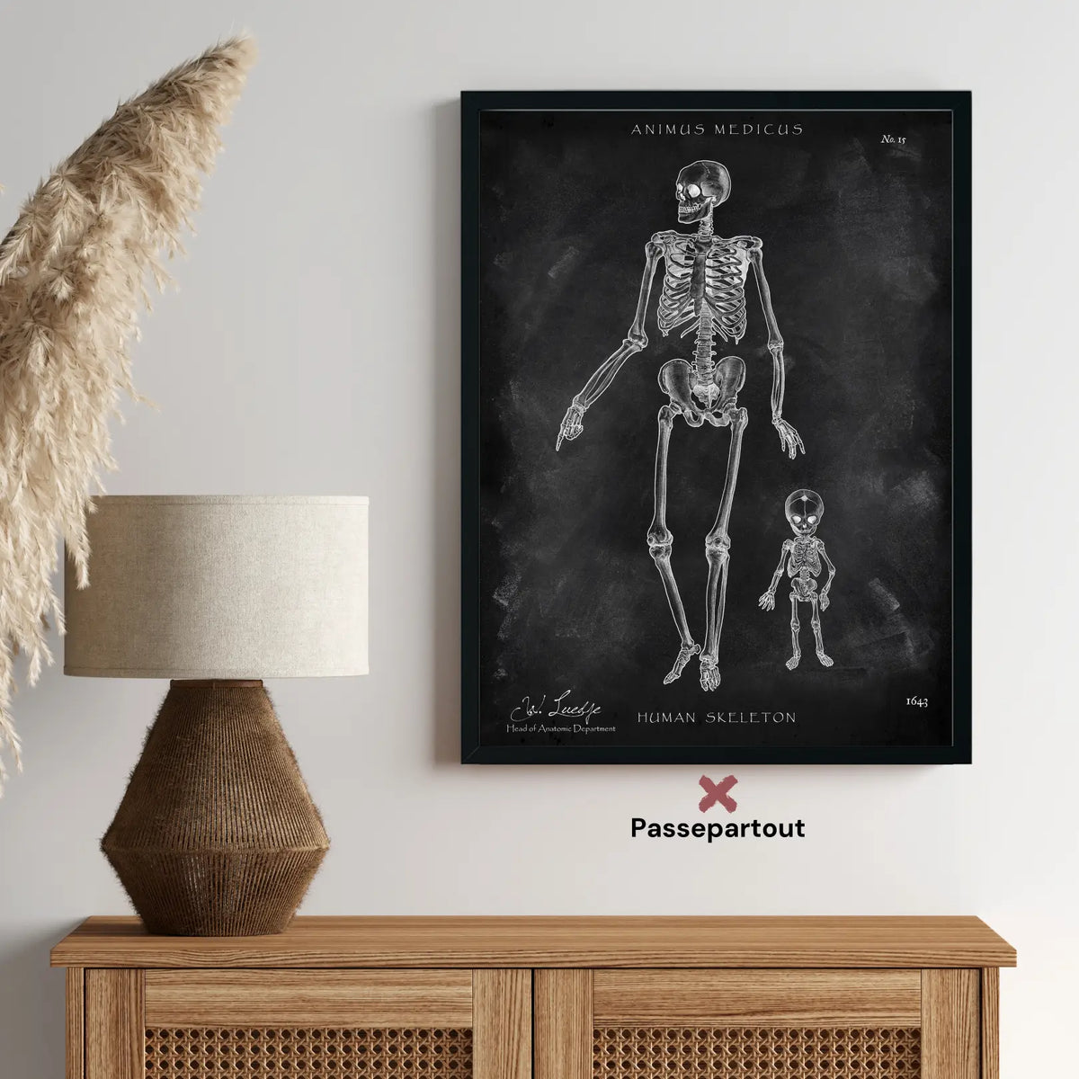 Menschliche Skelett - Chalkboard - Animus Medicus GmbH