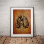 Mystische Lunge - Animus Medicus GmbH