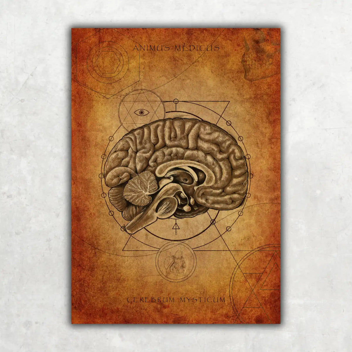 Mystisches Gehirn - Animus Medicus GmbH