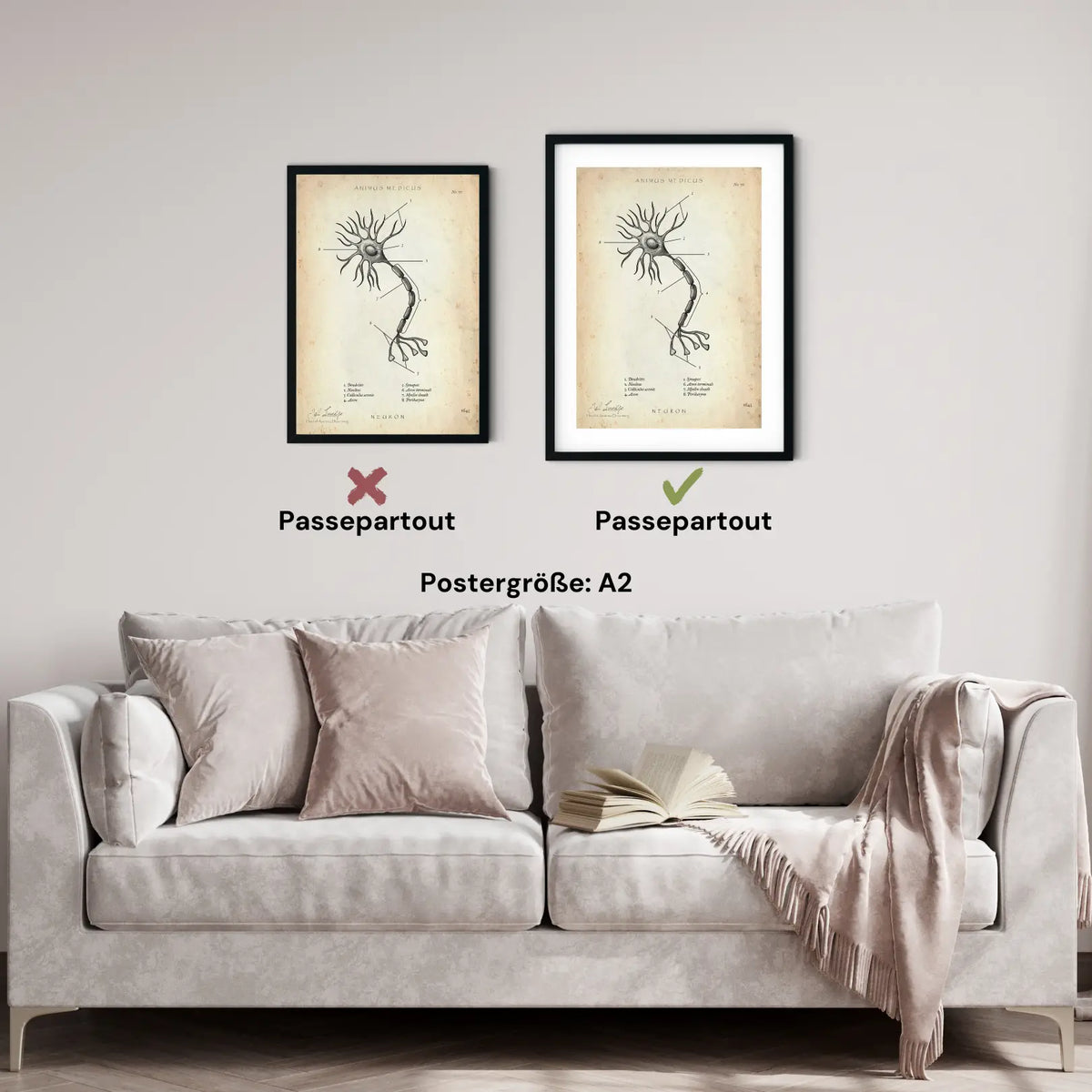 Nervenzelle Aufbau - Animus Medicus GmbH