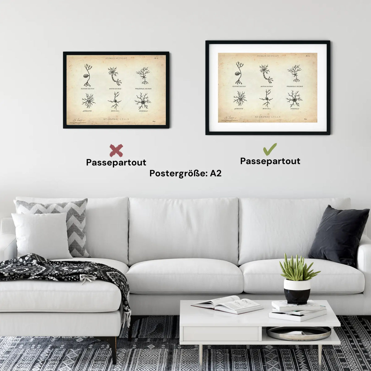 Neuronale Zellen - Animus Medicus GmbH