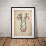 Niere und Blase mit Blumen - Animus Medicus GmbH