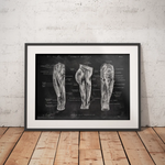 Oberschenkel Muskeln - Chalkboard - Animus Medicus GmbH