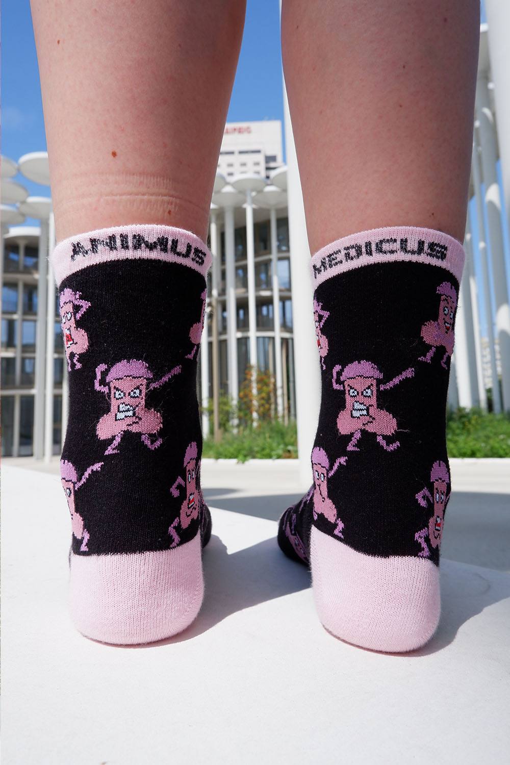 Penis Anatomie Socken aus Bio-Baumwolle - Animus Medicus GmbH