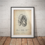 Penis mit Scrotum - Animus Medicus GmbH